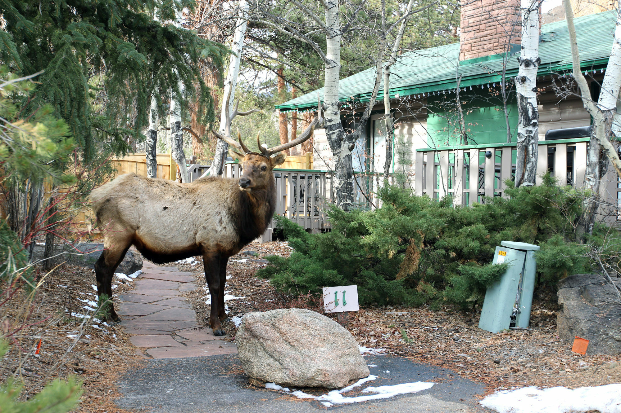 Sunnyside Knoll Resort Estes Park Exterior foto